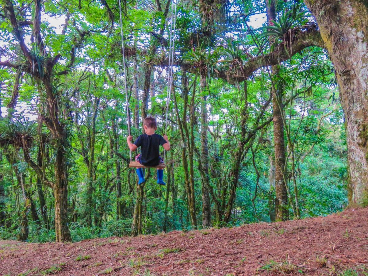 Rancho Do Lucas - E Chale 山林小屋 São Bento do Sul