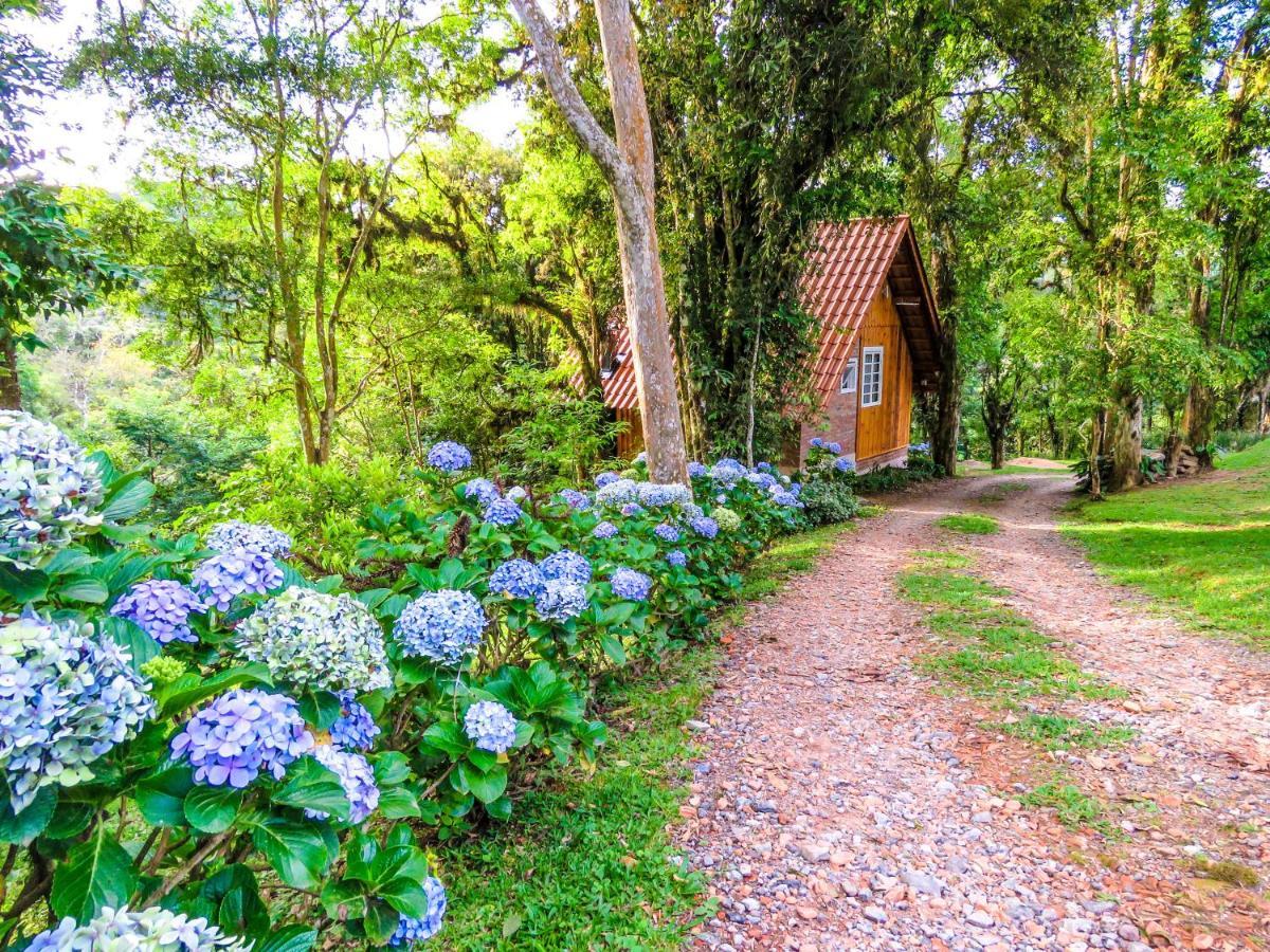 Rancho Do Lucas - E Chale 山林小屋 *
